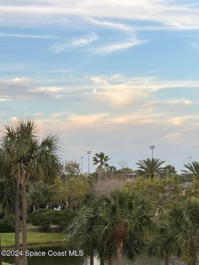 view of nature at dusk