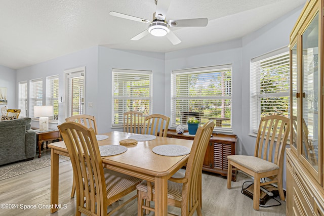 dining area featuring ceiling fan, a wealth of natural light, and light hardwood / wood-style flooring