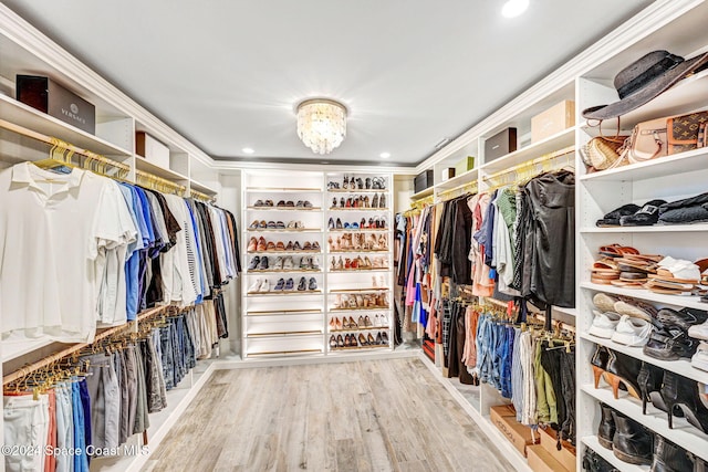 walk in closet with light wood-type flooring