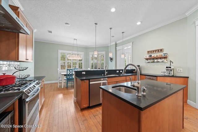 kitchen featuring sink, stainless steel appliances, light hardwood / wood-style flooring, ventilation hood, and an island with sink