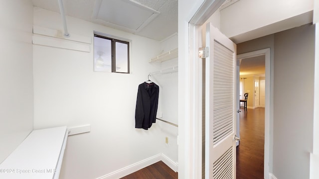 spacious closet featuring dark hardwood / wood-style floors