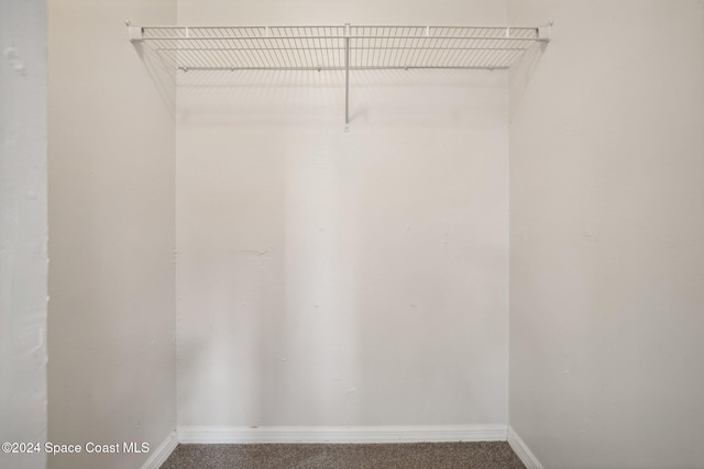 walk in closet with carpet floors