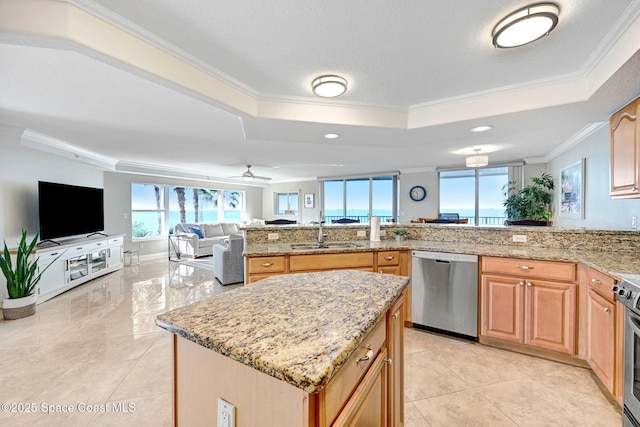 kitchen featuring ornamental molding, sink, appliances with stainless steel finishes, and a tray ceiling