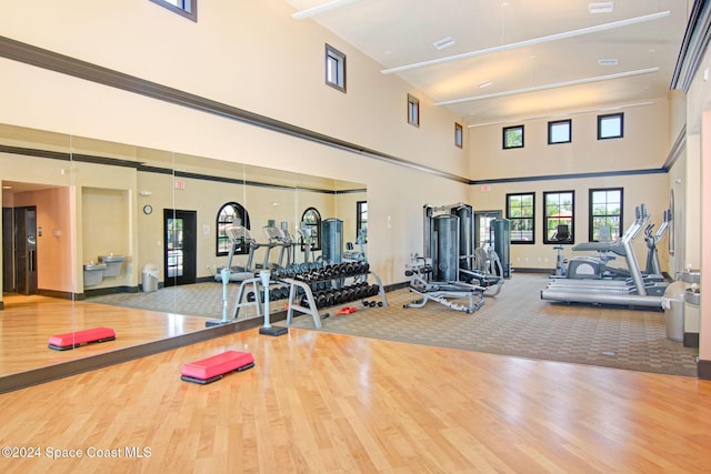 gym featuring baseboards, wood finished floors, and a towering ceiling