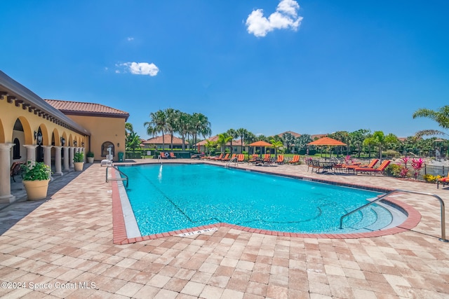 view of swimming pool with a patio area