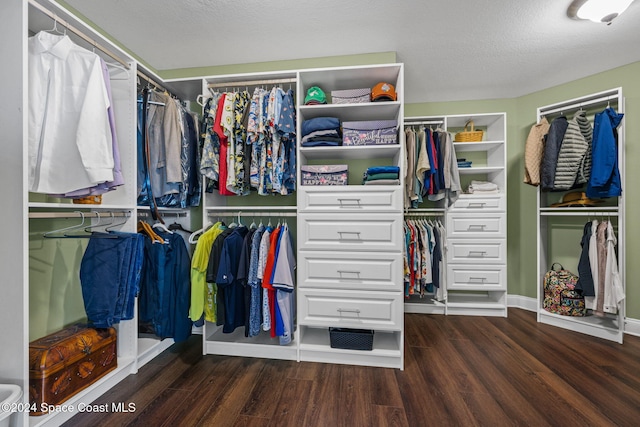 walk in closet featuring dark hardwood / wood-style flooring