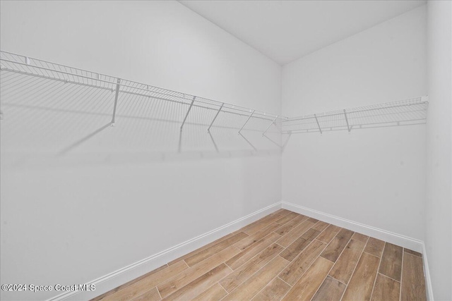 spacious closet featuring wood-type flooring