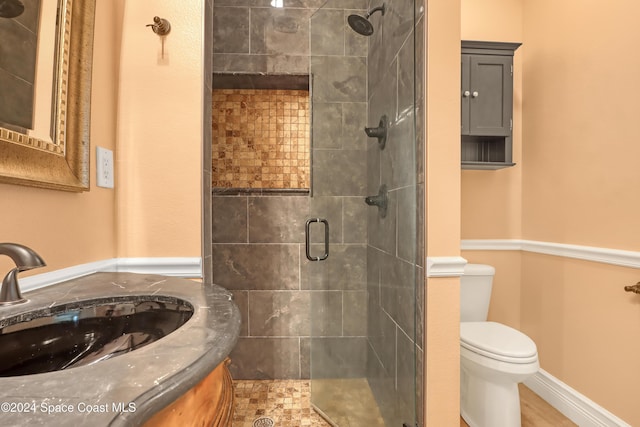bathroom featuring toilet, a stall shower, and a sink