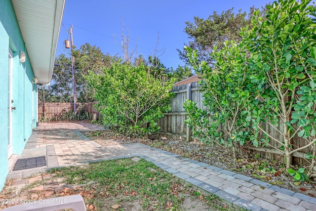 view of yard featuring a patio and a fenced backyard