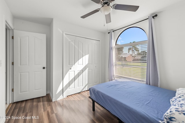 bedroom with a closet, ceiling fan, and dark wood-type flooring