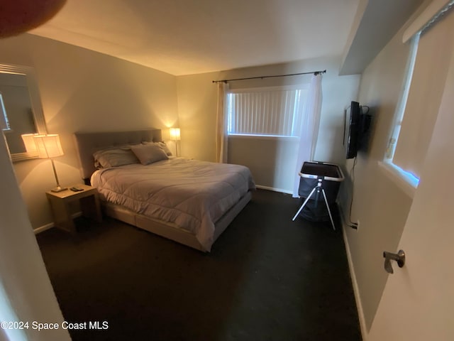 bedroom featuring dark carpet