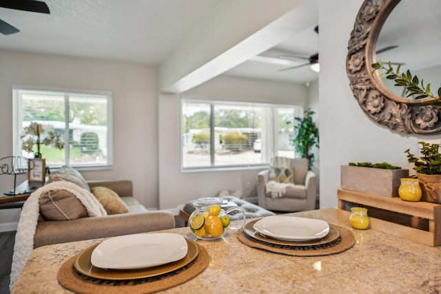 living room with ceiling fan