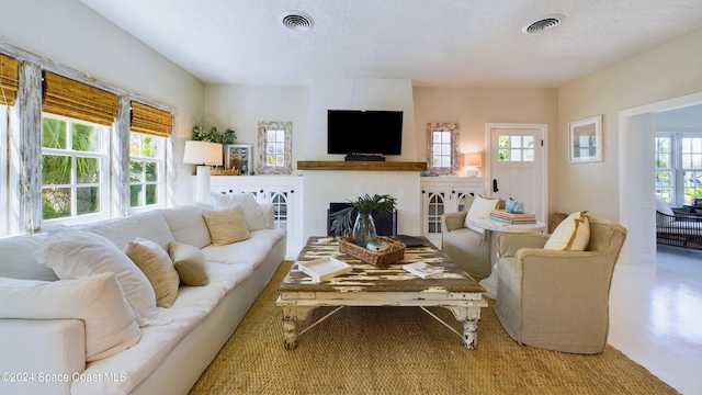 living room with a textured ceiling and a healthy amount of sunlight