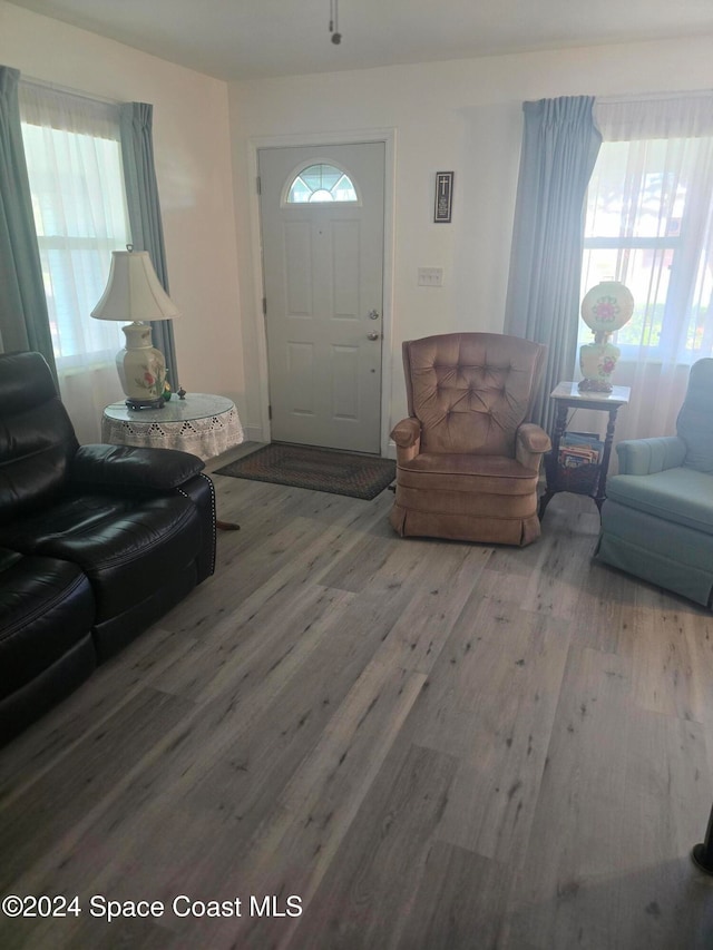 living room with wood-type flooring and plenty of natural light