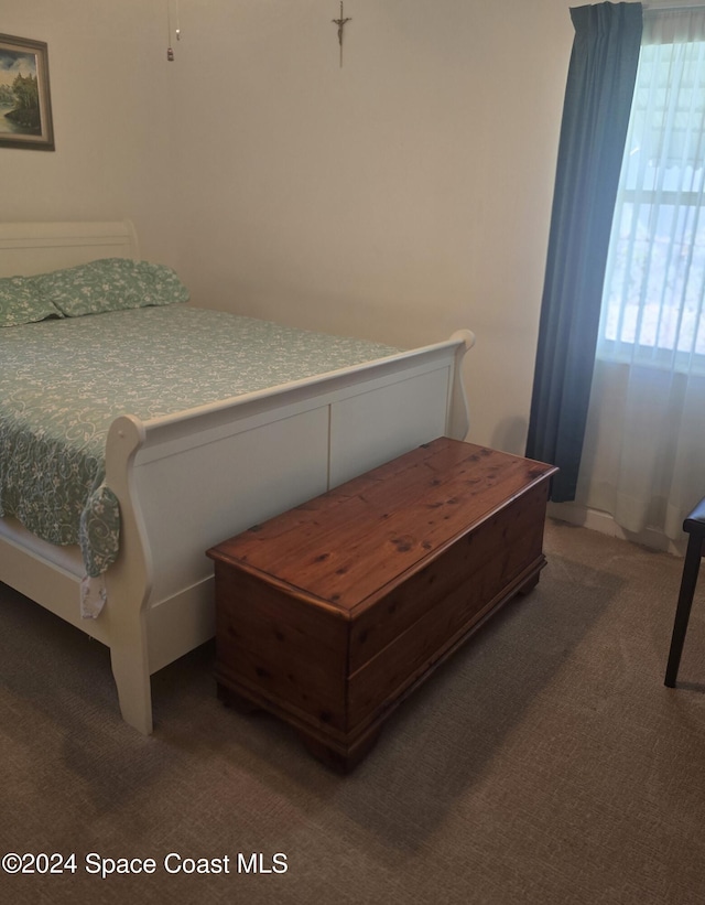 carpeted bedroom with multiple windows