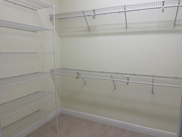 spacious closet featuring light hardwood / wood-style flooring