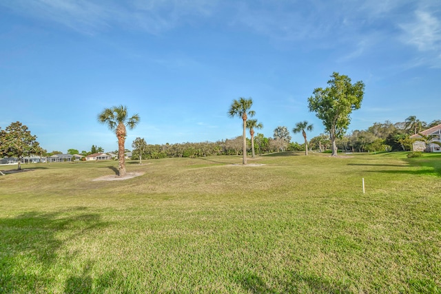 view of community featuring a yard