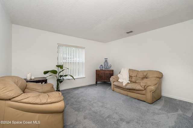 living room with a textured ceiling and carpet floors