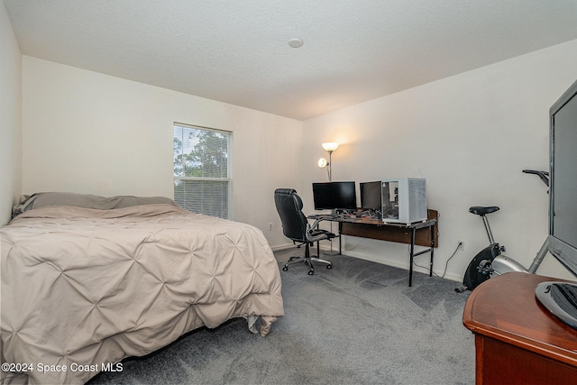 bedroom featuring carpet floors