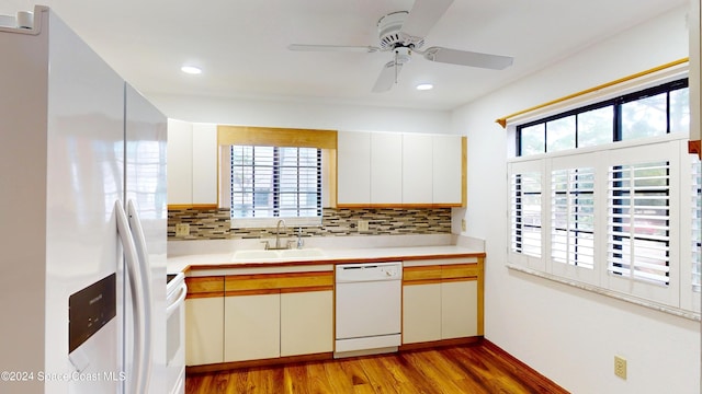 kitchen featuring light hardwood / wood-style floors, white appliances, sink, and a healthy amount of sunlight