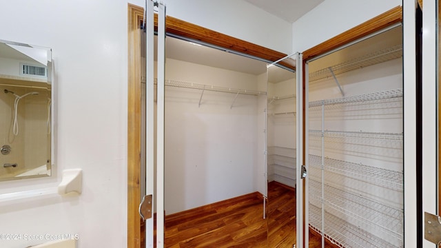 spacious closet with wood-type flooring