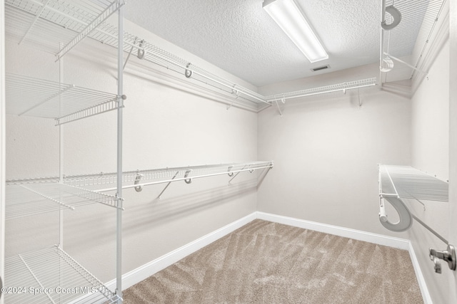 spacious closet with carpet