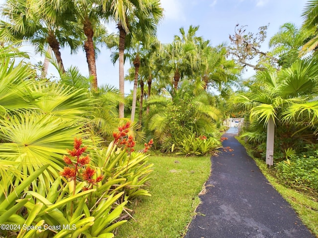 1880 Hawthorne, Vero Beach, FL 32962 - photo 28
