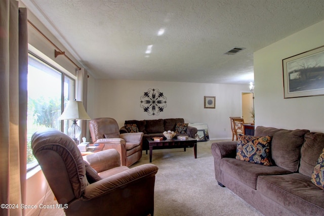 carpeted living room featuring plenty of natural light and a textured ceiling