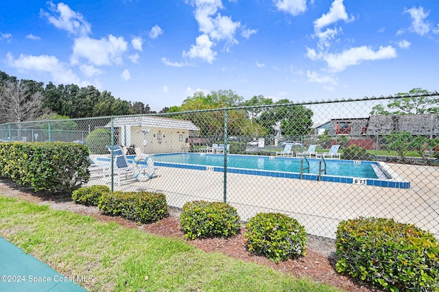 view of swimming pool with a patio