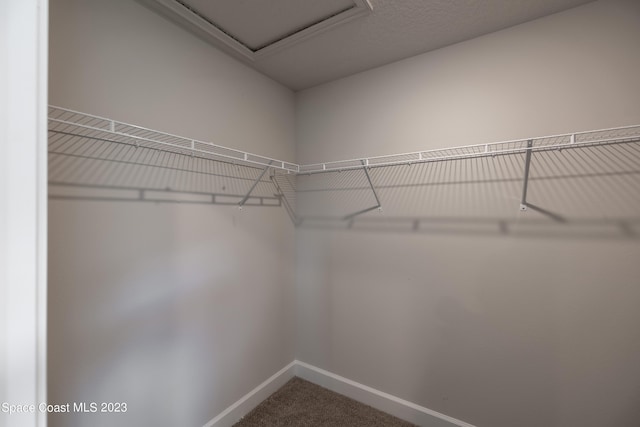 spacious closet featuring carpet