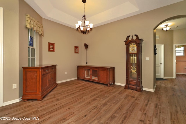 unfurnished dining area with hardwood / wood-style flooring, a notable chandelier, and a raised ceiling