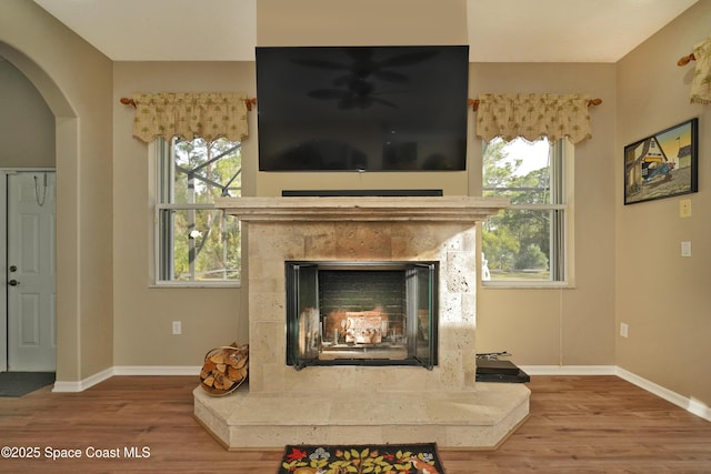 details with a fireplace and hardwood / wood-style floors