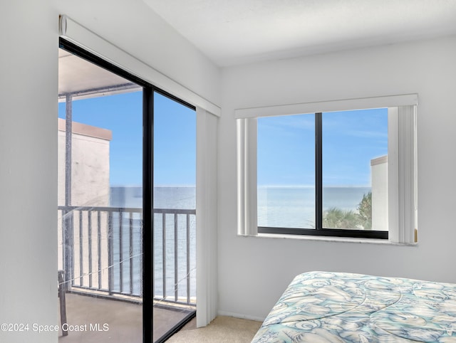 bedroom featuring carpet floors and a water view