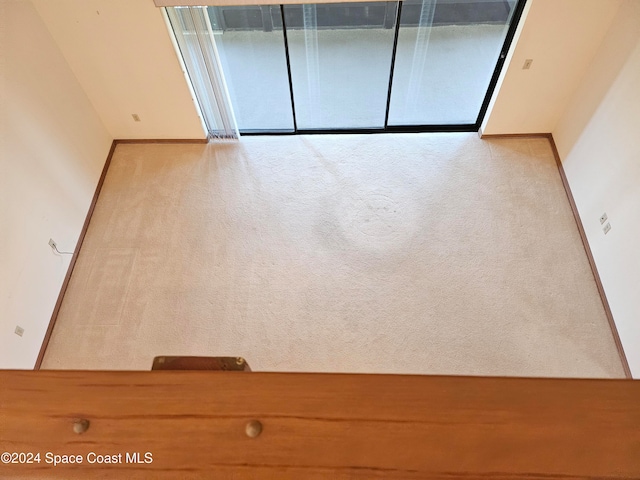 empty room featuring light colored carpet and plenty of natural light