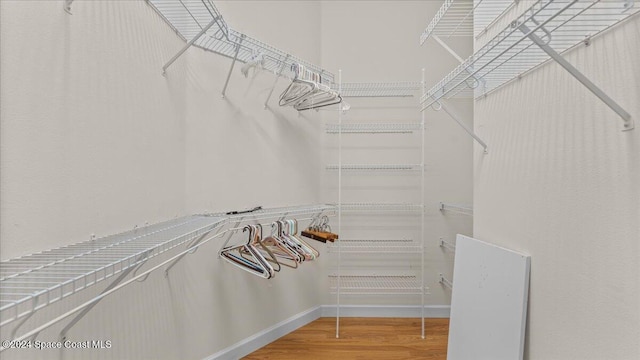 walk in closet with hardwood / wood-style flooring