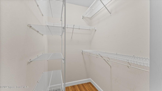 spacious closet featuring hardwood / wood-style flooring