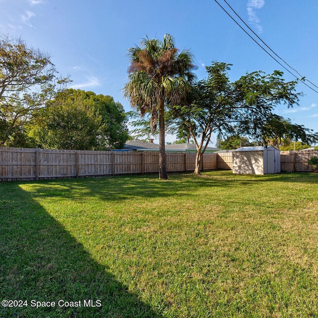 view of yard with a shed