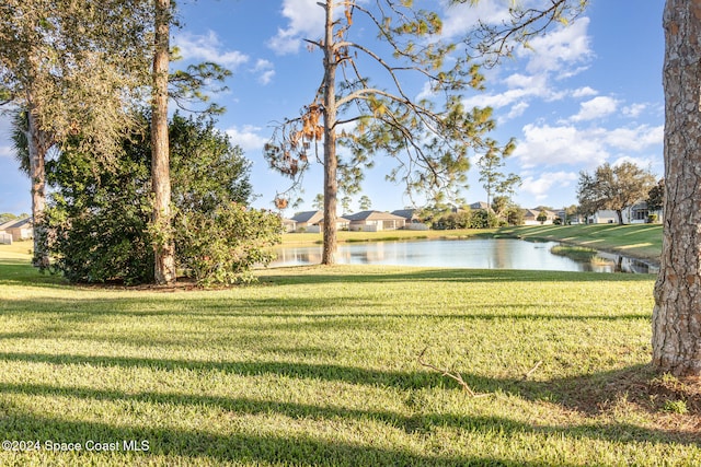 view of yard featuring a water view