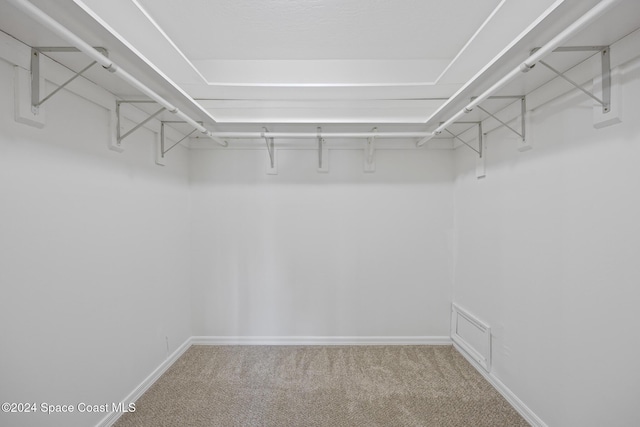 750 W Whitmire Dr, Melbourne, FL 32935 - spacious closet with carpet flooring