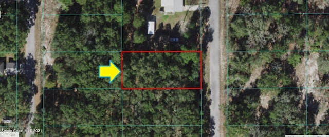 0000 SW Clearwater Ct, Dunnellon FL, 34431 land for sale