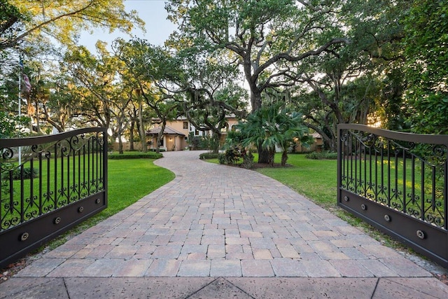 view of property's community with a lawn