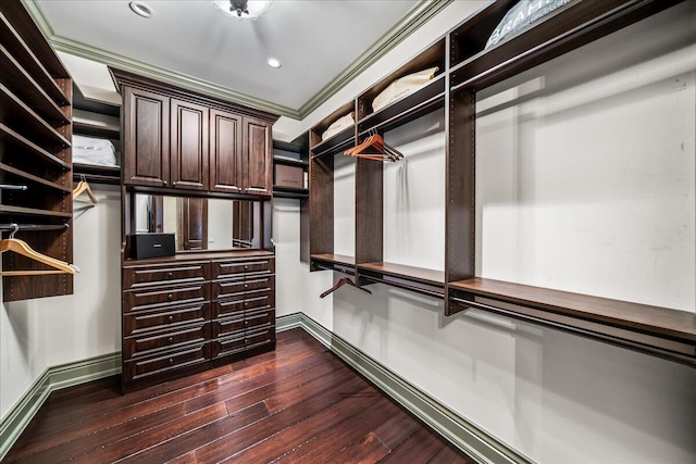 walk in closet featuring dark wood-type flooring