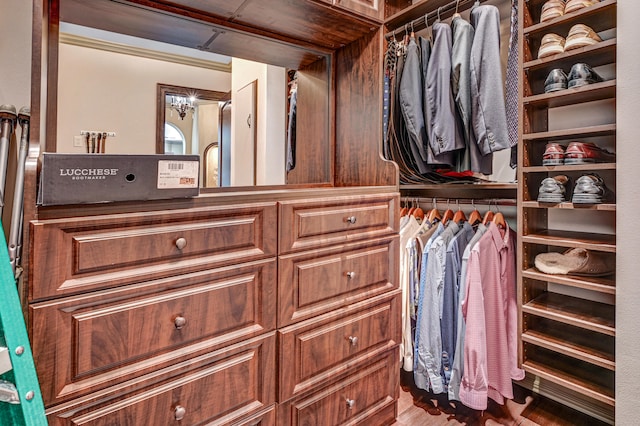 walk in closet with hardwood / wood-style floors