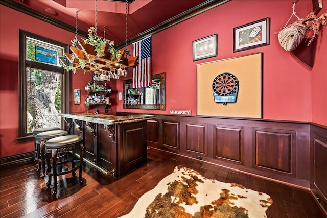 bar featuring crown molding and dark hardwood / wood-style flooring