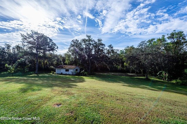 view of yard featuring a storage shed