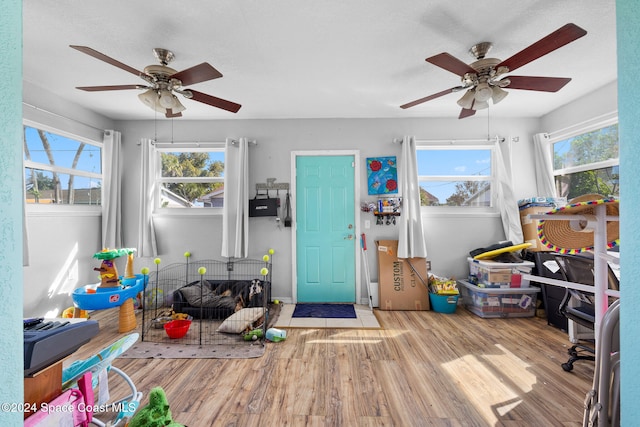 rec room featuring light hardwood / wood-style floors and ceiling fan