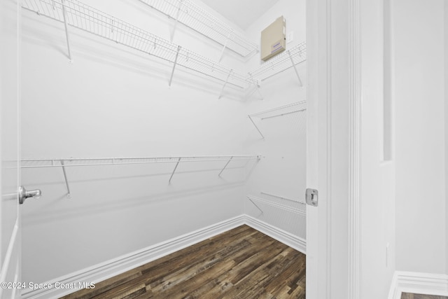 spacious closet with dark wood-type flooring