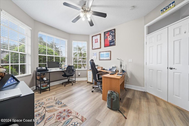 office featuring light wood-type flooring, a textured ceiling, and ceiling fan