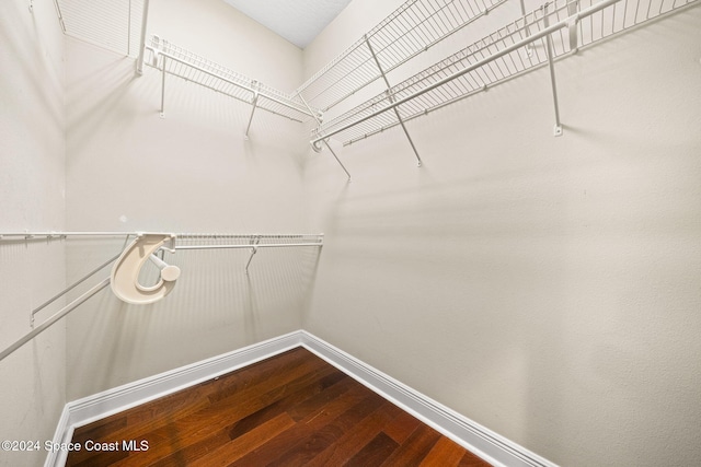 spacious closet with hardwood / wood-style flooring