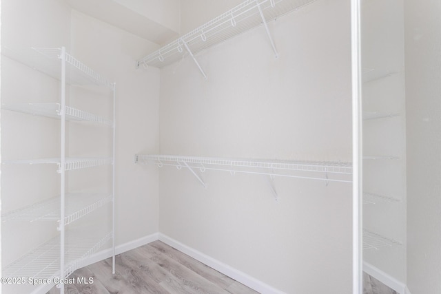 walk in closet featuring wood finished floors